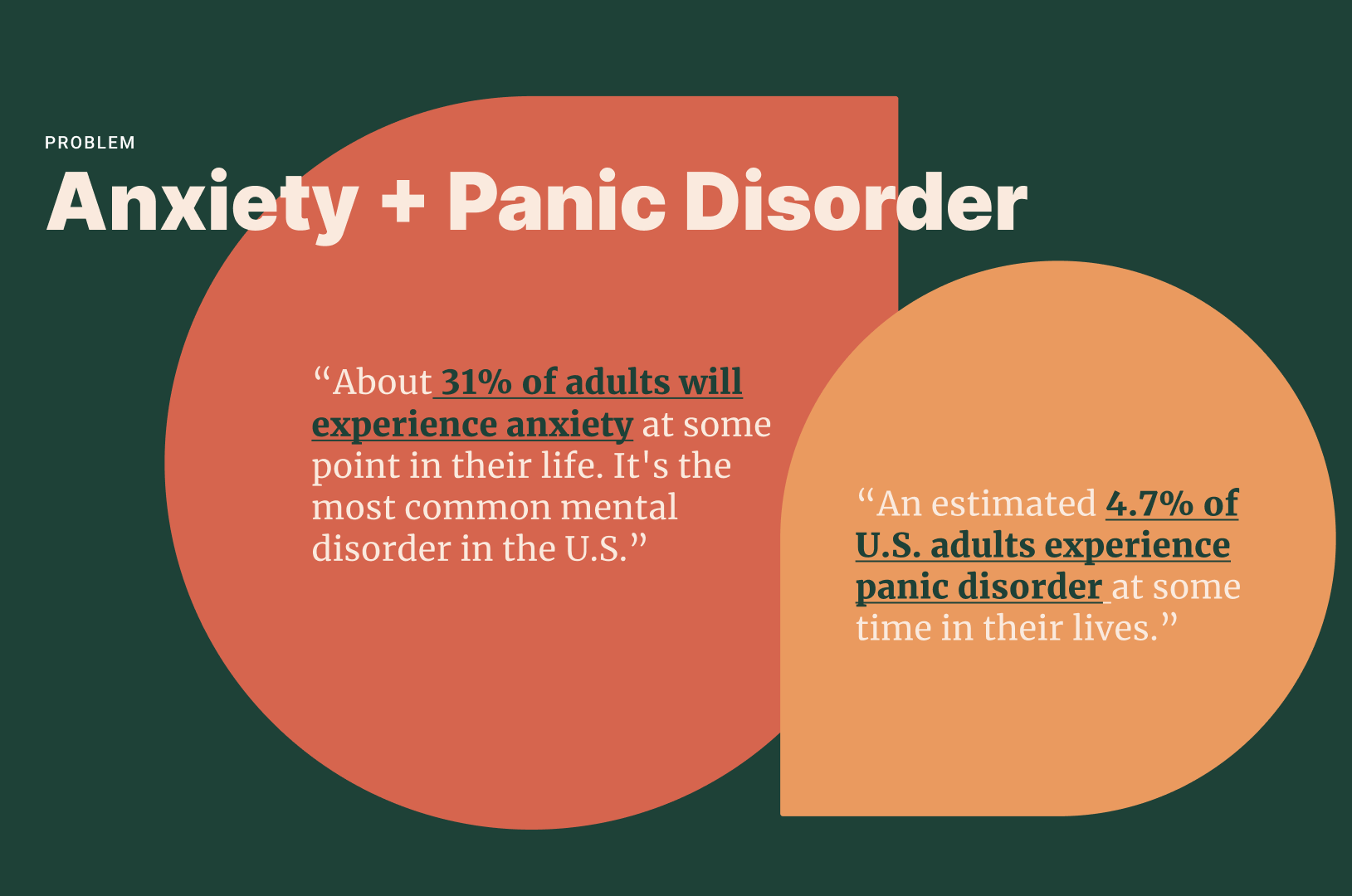 Anxiety and Panic Disorder presentation slide